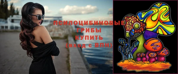 соль ск Алзамай