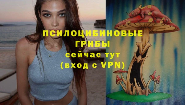 сатива Алексеевка