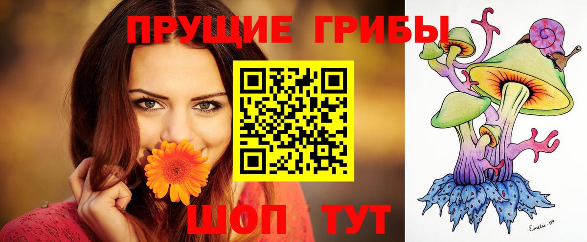 Галлюциногенные грибы GOLDEN TEACHER Самара